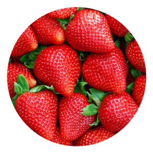 Fraise 300x300 Fraise